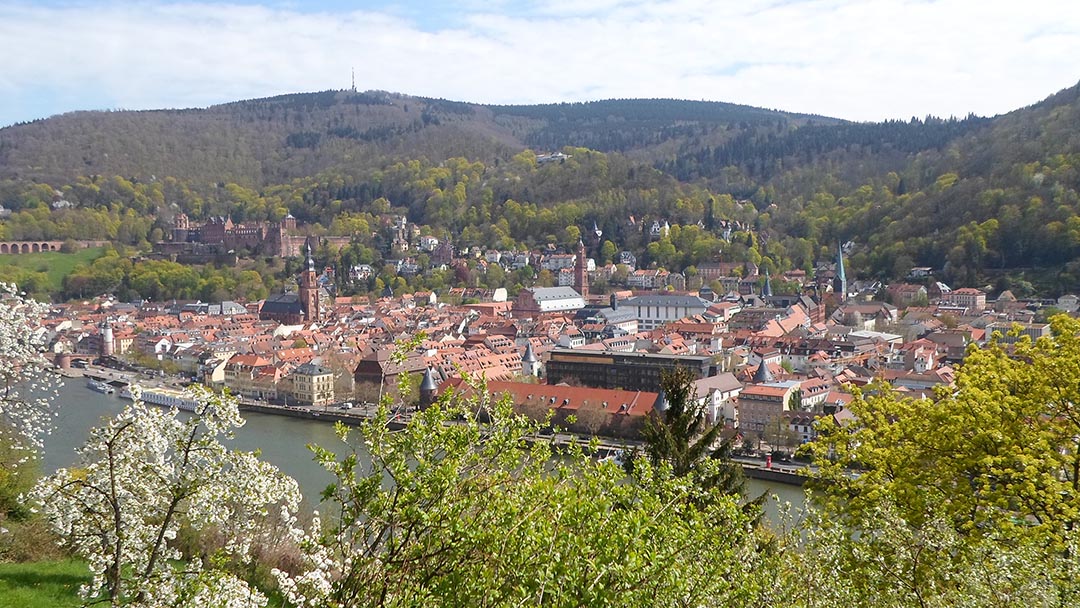 Panoramablick über Heidelberg: der Neckar, die roten Dächer der Altstadt, Kirchtürme, das Schloss und bewaldete Hügel